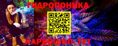 дмт Можга