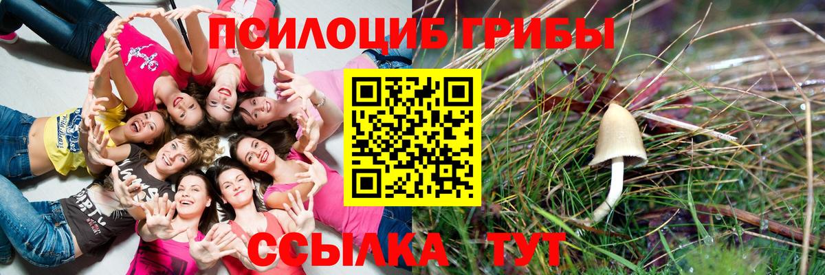 Псилоцибиновые грибы GOLDEN TEACHER  Вход с VPN  Тавда 