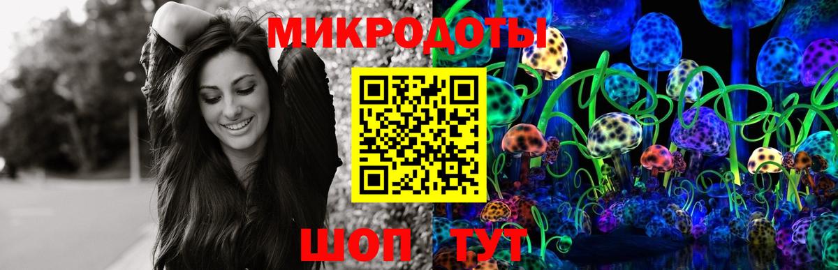 Псилоцибиновые грибы Cubensis Тавда