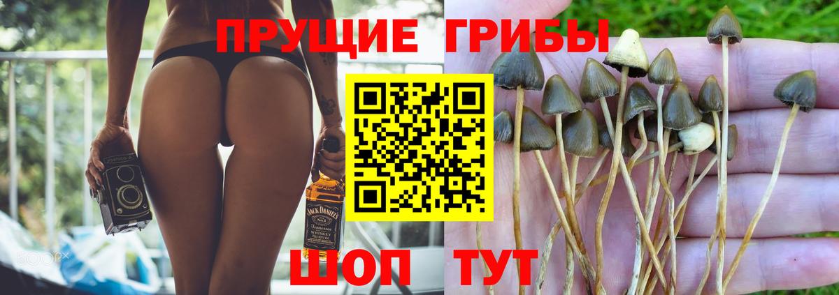 Тавда  Вход с VPN  МДМА  ГАШ  Мефедрон   КОКАИН  Марихуана 